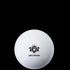 Gryphon Initiation Smooth Hockey Ball